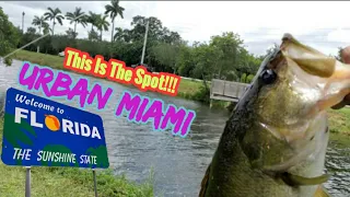 Fishing A Urban Miami Canal For Big Bass!!!