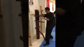 Grandmaster Kwok - Wooden Dummy