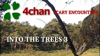 4Chan Scary Encounters - Into the Trees 3
