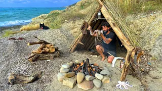 3 DAYS solo survival (NO FOOD, NO WATER) Catch and Cook, OCTOPUS - Rain Camping, Bushcraft Shelter