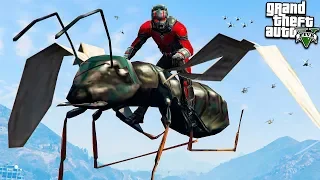 ЧЕЛОВЕК МУРАВЕЙ ИЩЕТ МСТИТЕЛЕЙ ФИНАЛ В ГТА 5 МОДЫ! ANT MAN ОБЗОР МОДА ВИДЕО ИГРЫ GTA 5! MODS