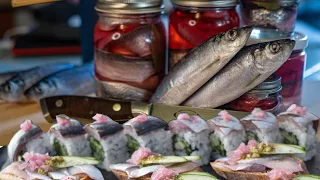 PICKLED HERRING SUSHI | Amazing Catch, Clean, Fillet, and Pickle Spawning Herring