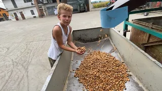 Cristian e “La Mandorla di Dronero” lavori di sfogliatura,smallatura e essicazione C/O Giraudo Livio