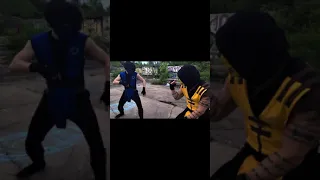 Mortal Kombat: Scorpion vs Sub-Zero Round 3 #shorts