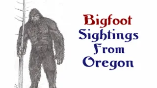 Bigfoot Sightings From Oregon