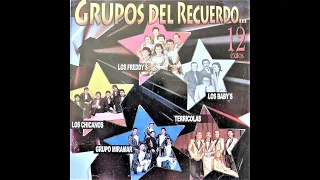 EPOCA DORADA DE LOS GRANDES GRUPOS DEL AYER,VOL 15