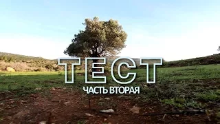 Тест на благородство (Дов Бер Байтман). Часть 2.