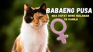 10 Bagay na Dapat Mong Malaman Tungkol sa mga Babaeng Pusa