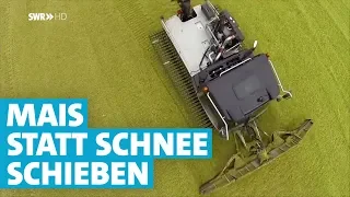 Mit dem Pistenbully auf den Mais-Berg