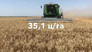 Результаты опытов на широкорядных посевах пшеницы