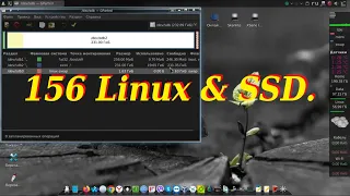 156 Linux & SSD.