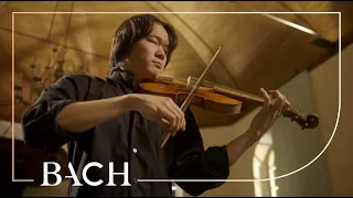 Bach - Violin Partita no. 2 in D minor BWV 1004 - Sato | Netherlands Bach Society