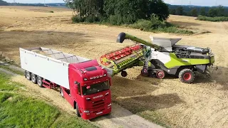 Koszenie jęczmienia🌾 w GR DYSZER z nowymi nabytkami🚜. Akcja na 5 kombajnów claas 8900 i John deere