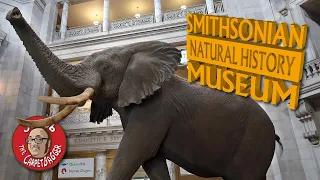Smithsonian Museum of Natural History - Full Tour