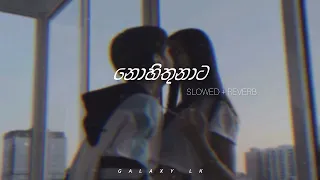 Nohithunata (නොහිතුනාට) | Slowed + Reverb | Galaxy_LK | @GalaxyLK9226