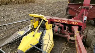 Chopping corn 2019