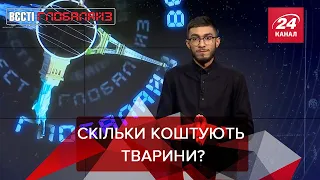 "Ціна" тварин, расизм і таліби, Вєсті Глобалайз, 28 вересня 2021