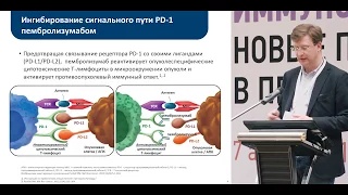 Дозы и режимы введения ингибиторов контрольных точек: оценка в исследованиях 1-3 фазы. Пембролизумаб