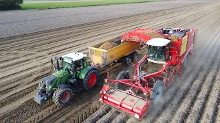 Potato Harvest | Grimme Varitron 470 | 2x Fendt 724 & Fendt 720 | Miedema MB 111 | Cornelissens