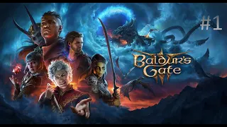 Baldur's Gate 3 ( Врата Балдура 3 ) прохождение #1 - Оборона рощи