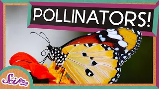 Flowers and Their Pollinators: A Perfect Match! | Spring is Here! | SciShow Kids