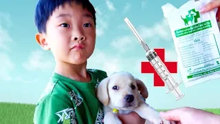 강아지 감기로 아파요! 예준이의 애완 동물 병원 주사 맞기 어린이 동물 체험 일상 Puppy Animal Hospital Pet Family for Kids