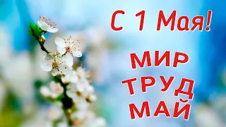 С 1 МАЯ! С Праздником, дорогие друзья! Мир, Труд, Май!