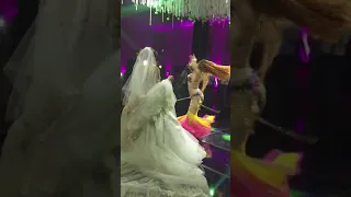 Belly Dancer at Cairo Wedding