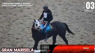 #Hipismo 📹Observamos Los EJEMPLARES en Cancha Este Viernes 03 de Mayo en su Calistenia Previa