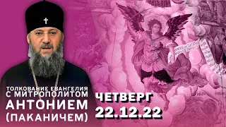 Толкование Евангелия с митр. Антонием (Паканичем). Четверг, 22 декабря 2022 года