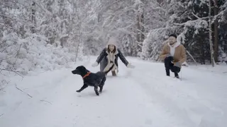 Funniest Dogs In Snow Compilation - Dogs Rejoice In The Snow #3  #short #shorts