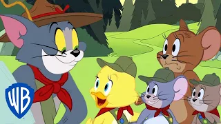 Tom i Jerry po polsku 🇵🇱 | Biwak z Tomem | WB Kids