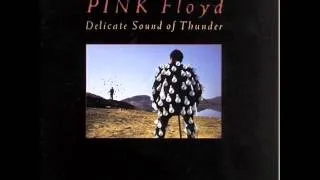 Pink Floyd - On The Turning Away (Delicate Sound of Thunder 1988)