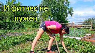 НЕ БЕГАЙ ЗА ФИТНЕСОМ🏃‍♀️Как ПРОПОЛКА КЛУБНИКИ помогает сохранить форму и укрепить здоровье! ДЕРЕВНЯ.