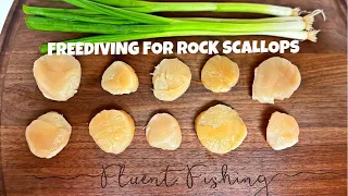 Freediving for Southern California Rock Scallops (Catch, Clean and Cook)