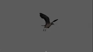 Crow Flight Cycle