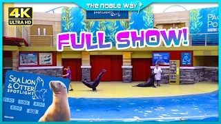 Clyde & Seamore Sea Lion & Otter Show 2022 in 4K | Full Show At SeaWorld Orlando Theme Park