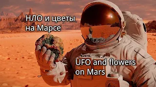 НЛО и цветы на Марсе