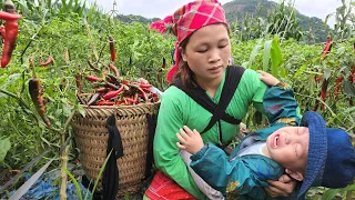 15 Days: Harvesting the Garden of Peppers, Melons, Pumpkins, and Green Onions for Sale - Animal Care