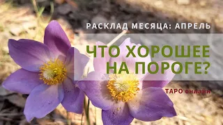 ЧТО ХОРОШЕГО ЖДЁТ В БЛИЖАЙШИЕ ТРИ ДНЯ? Расклад на ТАРО.