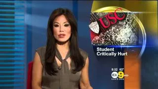 Sharon Tay 2011/11/10 8PM KCAL9 HD; Grey dress