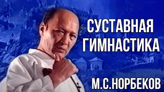 Суставная гимнастика М.С. Норбеков (архив)