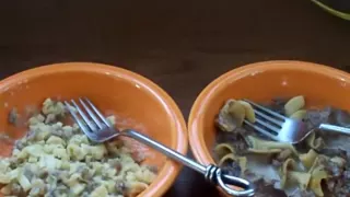 Emergency Food Review :  Beef Stroganoff With Noodles (Mountain House)