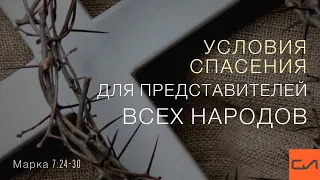 Марка 7:24-30. Условия спасения для представителей всех народов | Андрей Вовк | Слово Истины