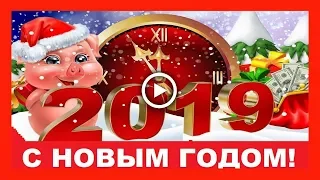 Прикольное  поздравление с 2019 годом свиньи