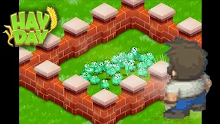🌾 Hay Day 🐔 | How To Trap The Frogs 🐸