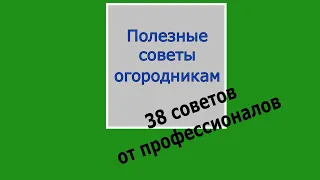 Как вырастить хороший урожай и другие полезные советы огородникам и садоводам.