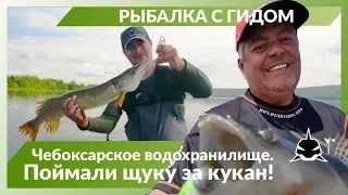 Щука за кукан. Рыбалка с гидом Вадимом Новиковым. Чебоксарское водохранилище.