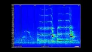 St. Louis County, MN suspected sasquatch vocals recorded 20120315