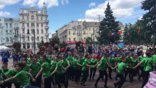 Флеш-моб до дня Європи. Вінниця 2017